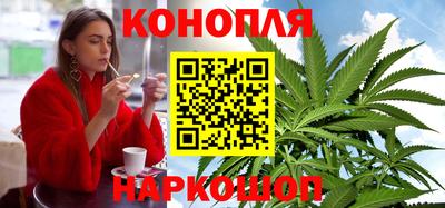 Альфа ПВП Моздок