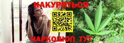 Альфа ПВП Моздок