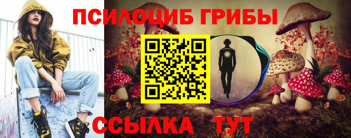 Фурманов  Галлюциногенные грибы Magic Shrooms  Вход с VPN 